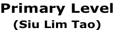 Primary Level (Siu Lim Tao)